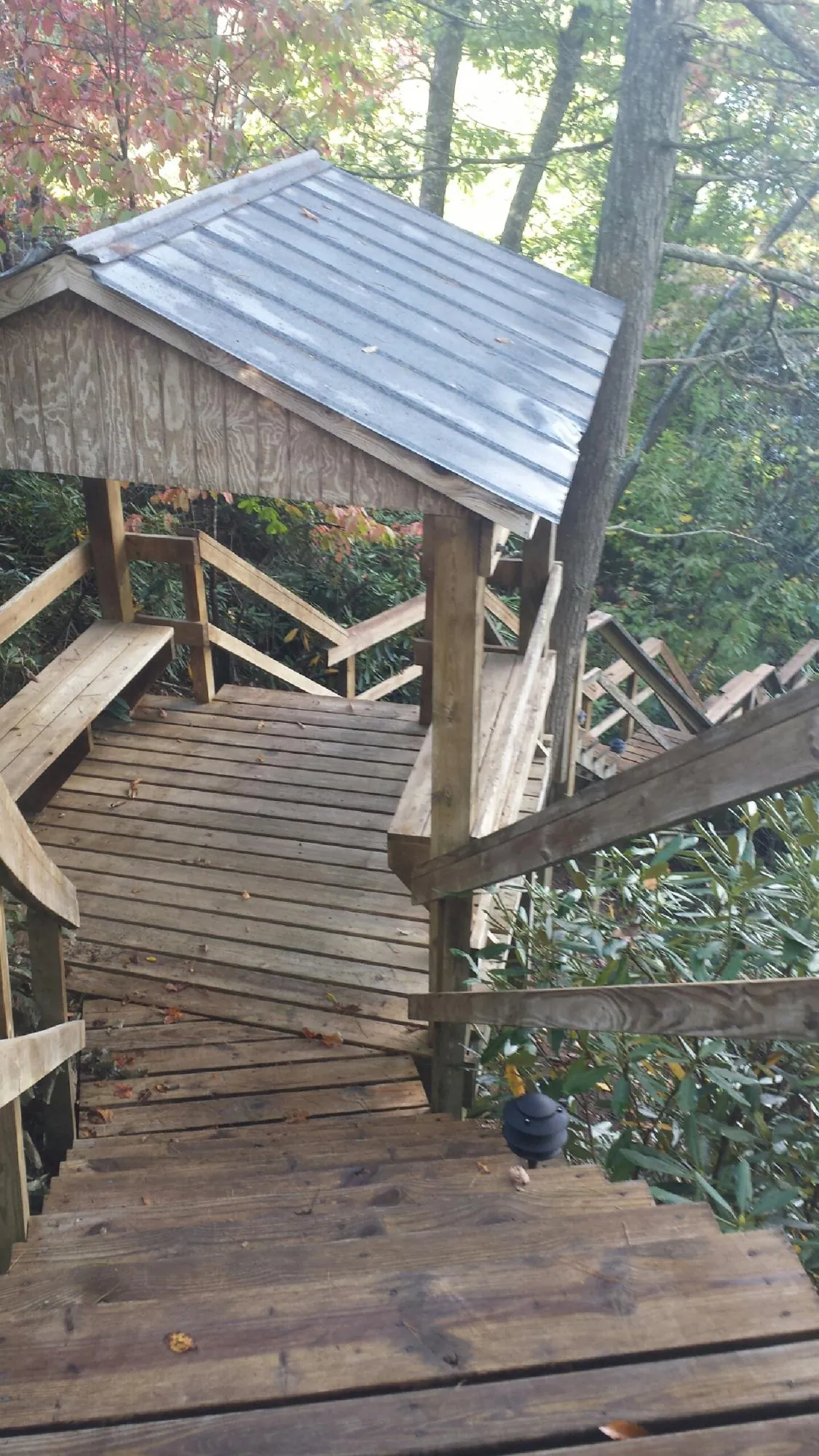 Metal roofed shelter over wooden steps on a wooded walkway — Skylight Repair & Installation work by our crew in Hawthorne
